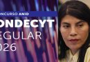 El contrasentido del Fondecyt: Chile asfixia a las humanidades en la era que más las necesita