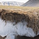 Permafrost en la Tundra de Siberia