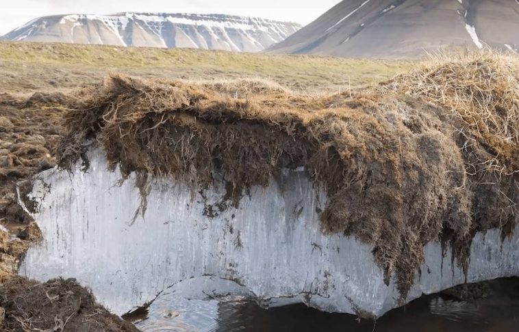 Permafrost en la Tundra de Siberia