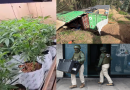 El cartel de la elite: «Operación Amsterdam» al descubierto tras mover US$ 9 millones bajo la fachada del cannabis medicinal